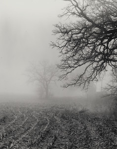 19980222-1-02-The_Farmer_In_The_Fog.jpg