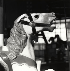 20250604-1-01-Horsing_Around.jpg