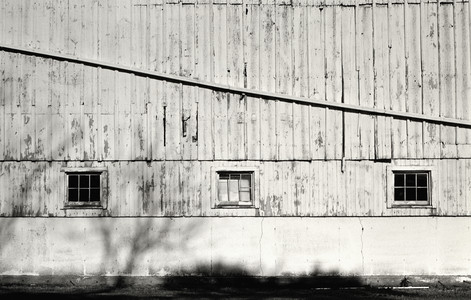 20250825-1-19-Lightly_Faded.jpg