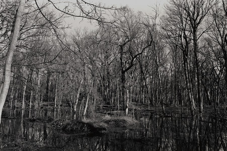 20260422-1-27-Knock_On_Wood.jpg