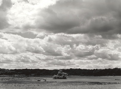 20260614-1-12-Cloud_Based.jpg