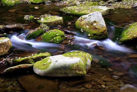 20100923-0003-Catskills_Peekamoose.jpg