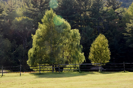 20160905-016-Catskills.jpg