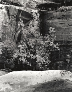 19971103-1-14-Zion.jpg